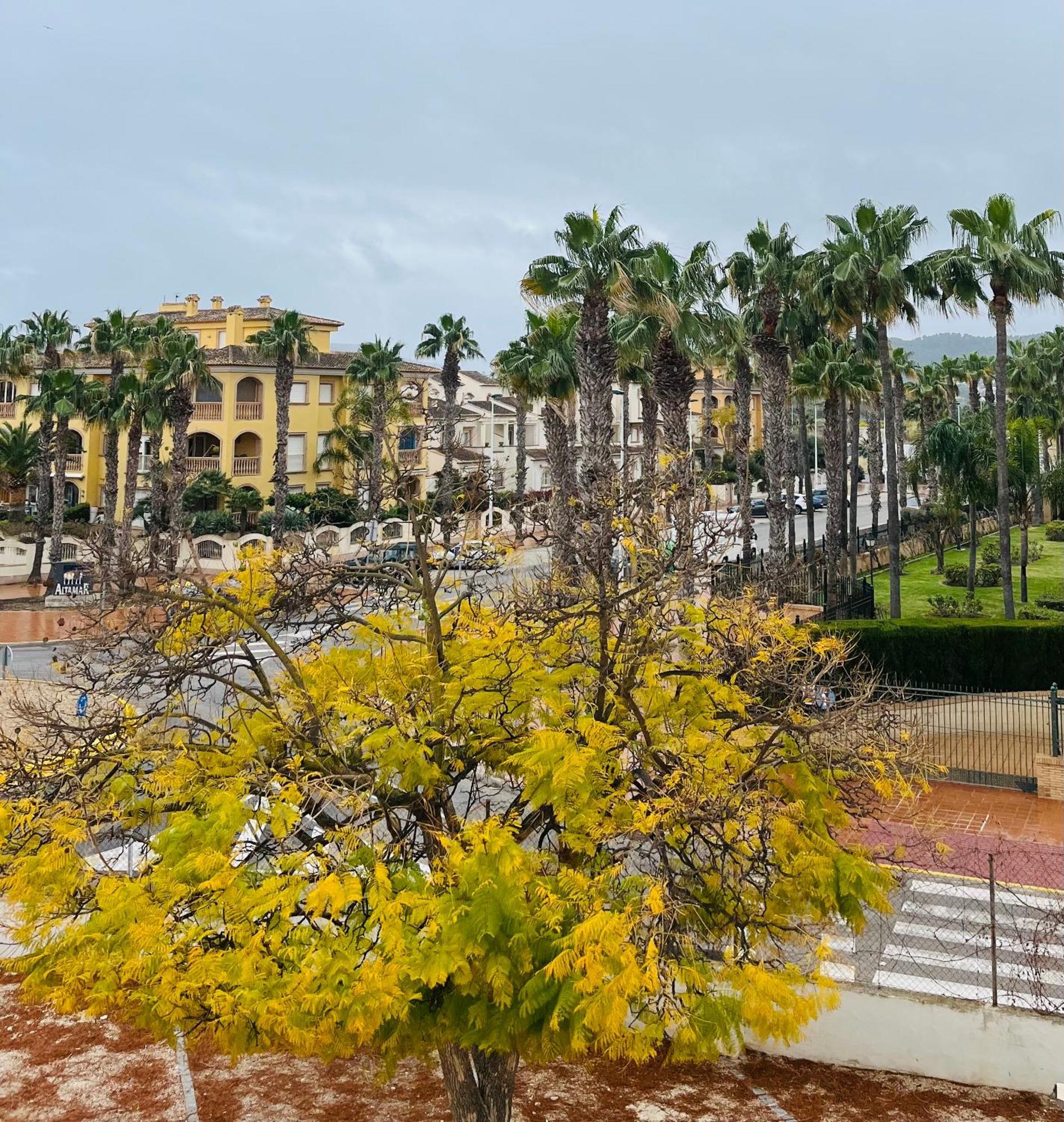 Toplocatie Seaside Apartment *